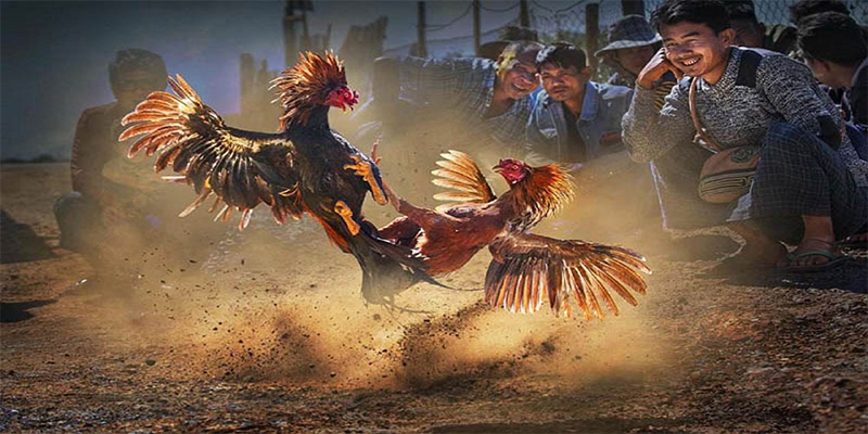 okvip chơi bắn cá đổi thưởng