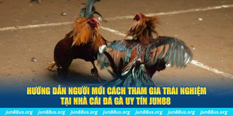 okvip CQ9 Điện Tử