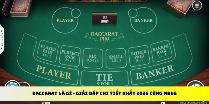 okvip gà chọi cu cần