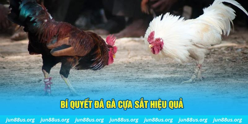 okvip xin 1 slot là gì