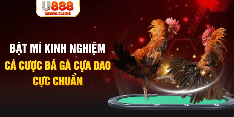 okvip tỷ lệ cá cược châu á là gì