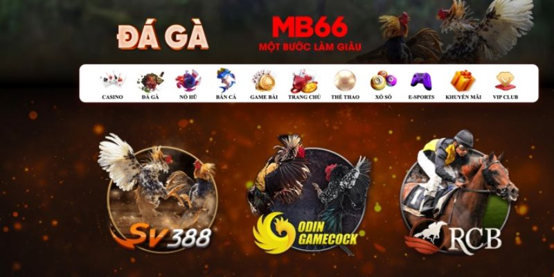 okvip đăng nhập poker số 1