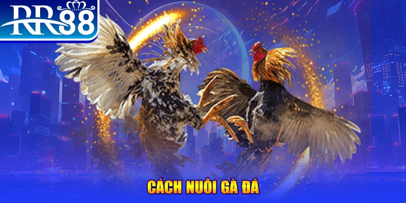 okvip xổ số an giang