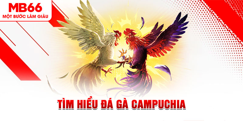 okvip đá gà trực tiếp