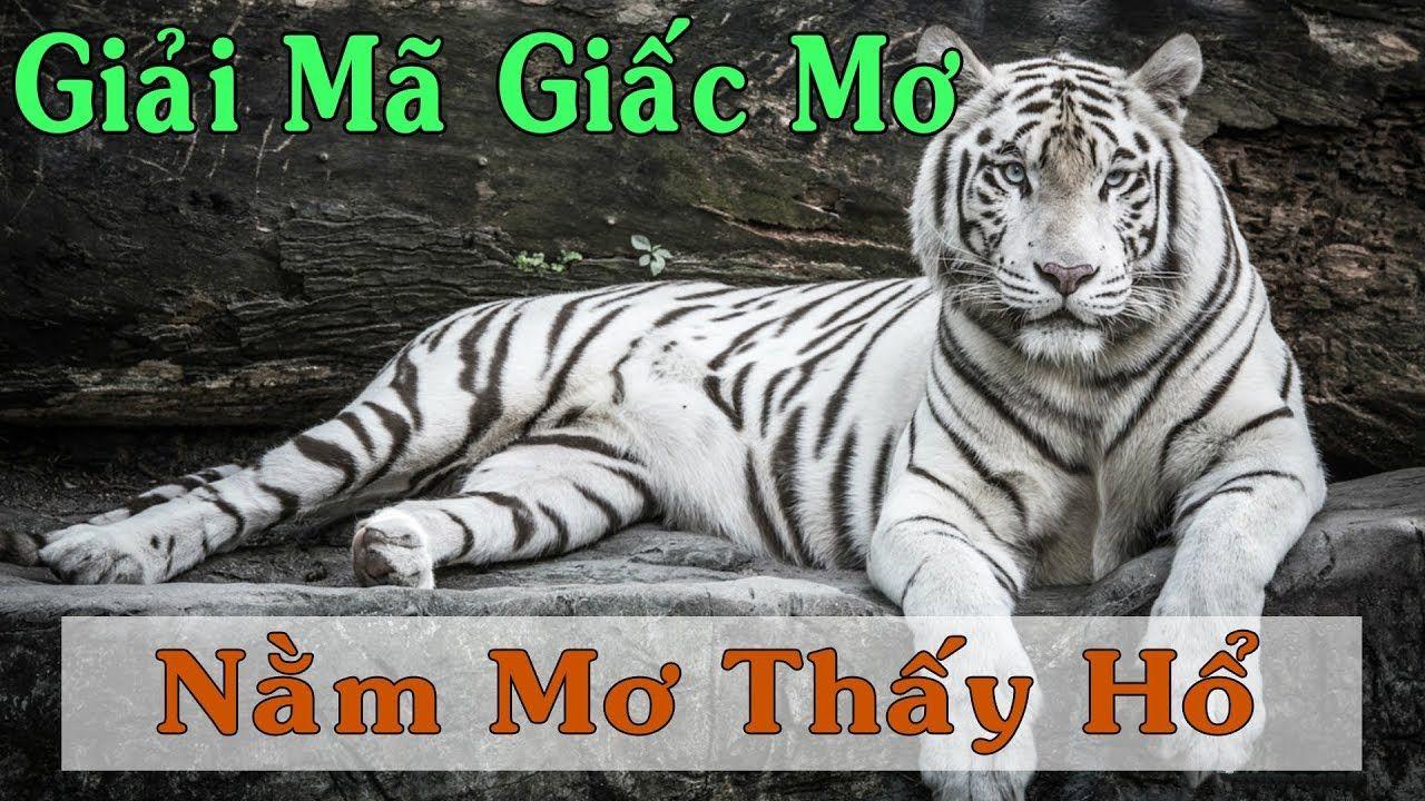 okvip WM Trực Tuyến