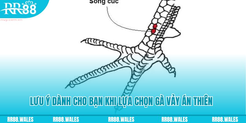 okvip xổ số đồng nai