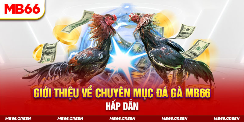 okvip đăng nhập sòng bạc đổi thưởng