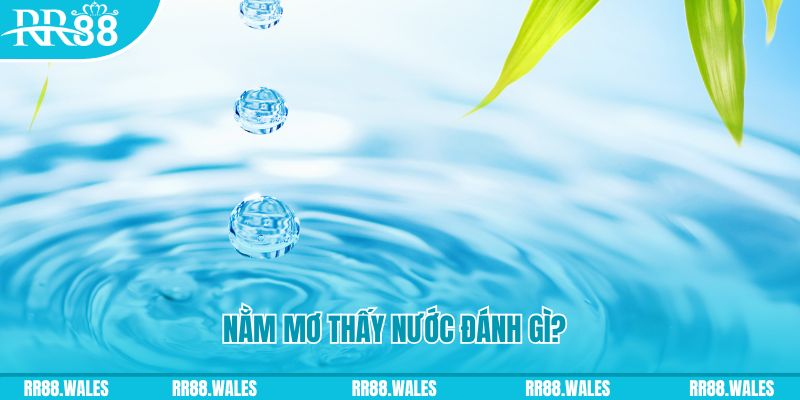 okvip TP Bắn cá