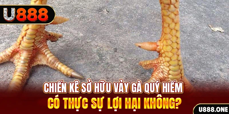 okvip nohu .mx nổ hủ là gì