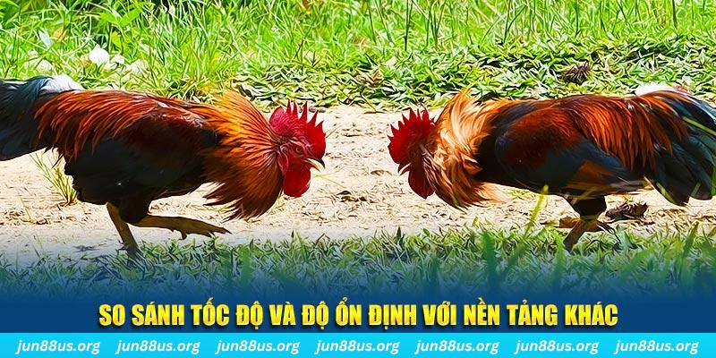 okvip đá gà hôm nay
