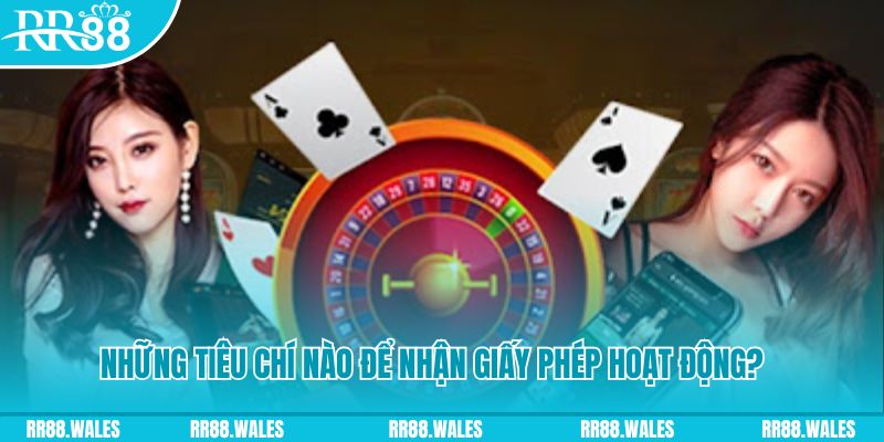 okvip hơn cả bạn bè