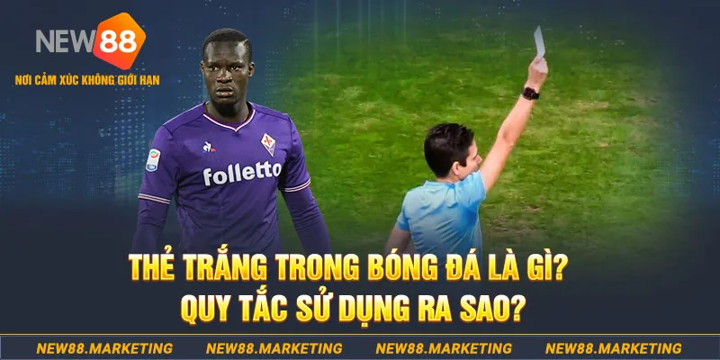 okvip gà chọi mộc hóa