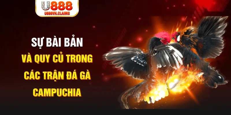 okvip YGR Điện Tử