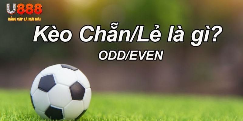 okvip đăng nhập poker hôm nay