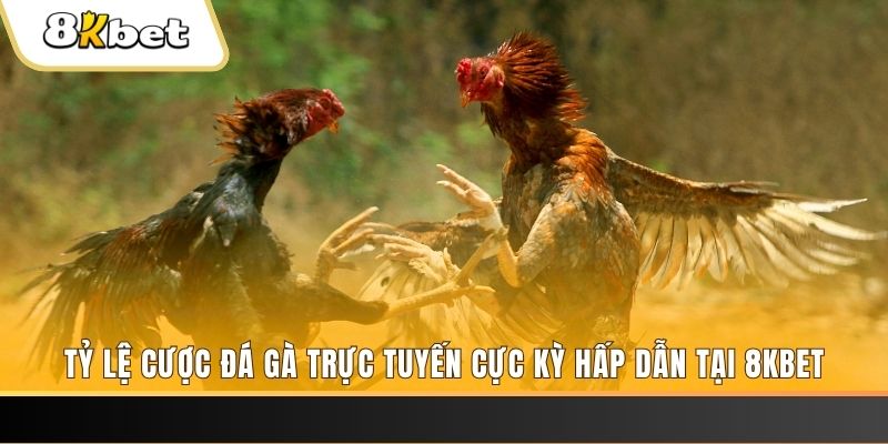 okvip đăng nhập phỏm trực tiếp