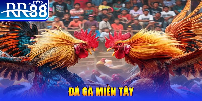 okvip chơi slot là gì