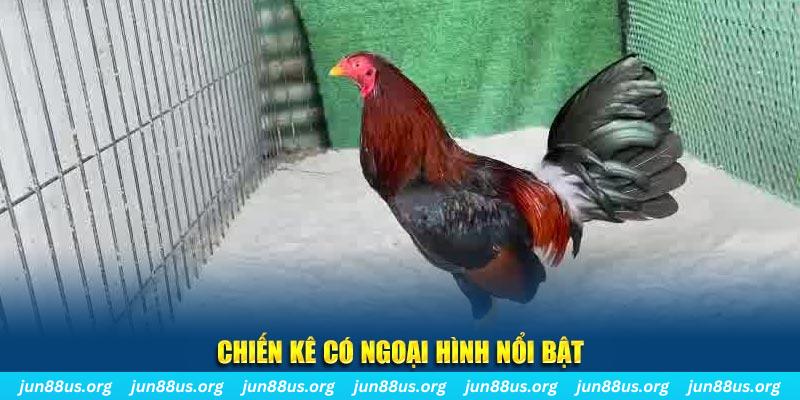 okvip chạy quảng cáo cho game bài bị phạt như thế nào