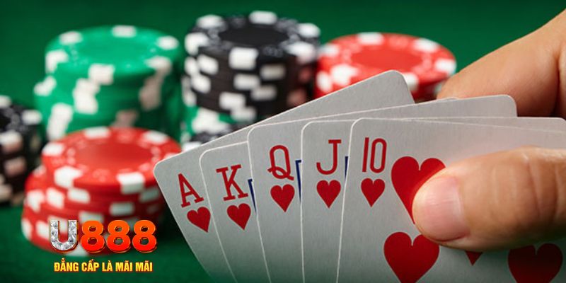 okvip đá gà trực tiếp thomo 67