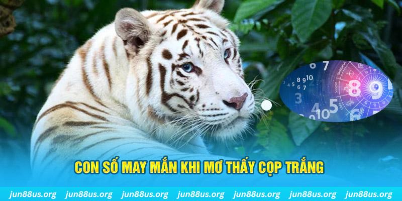 okvip đá gà trực tiếp 88